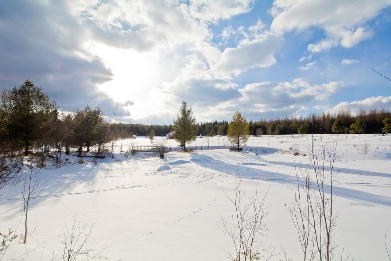 Camping Chalets Spas Pignons Rouges Saint Romain Екстериор снимка