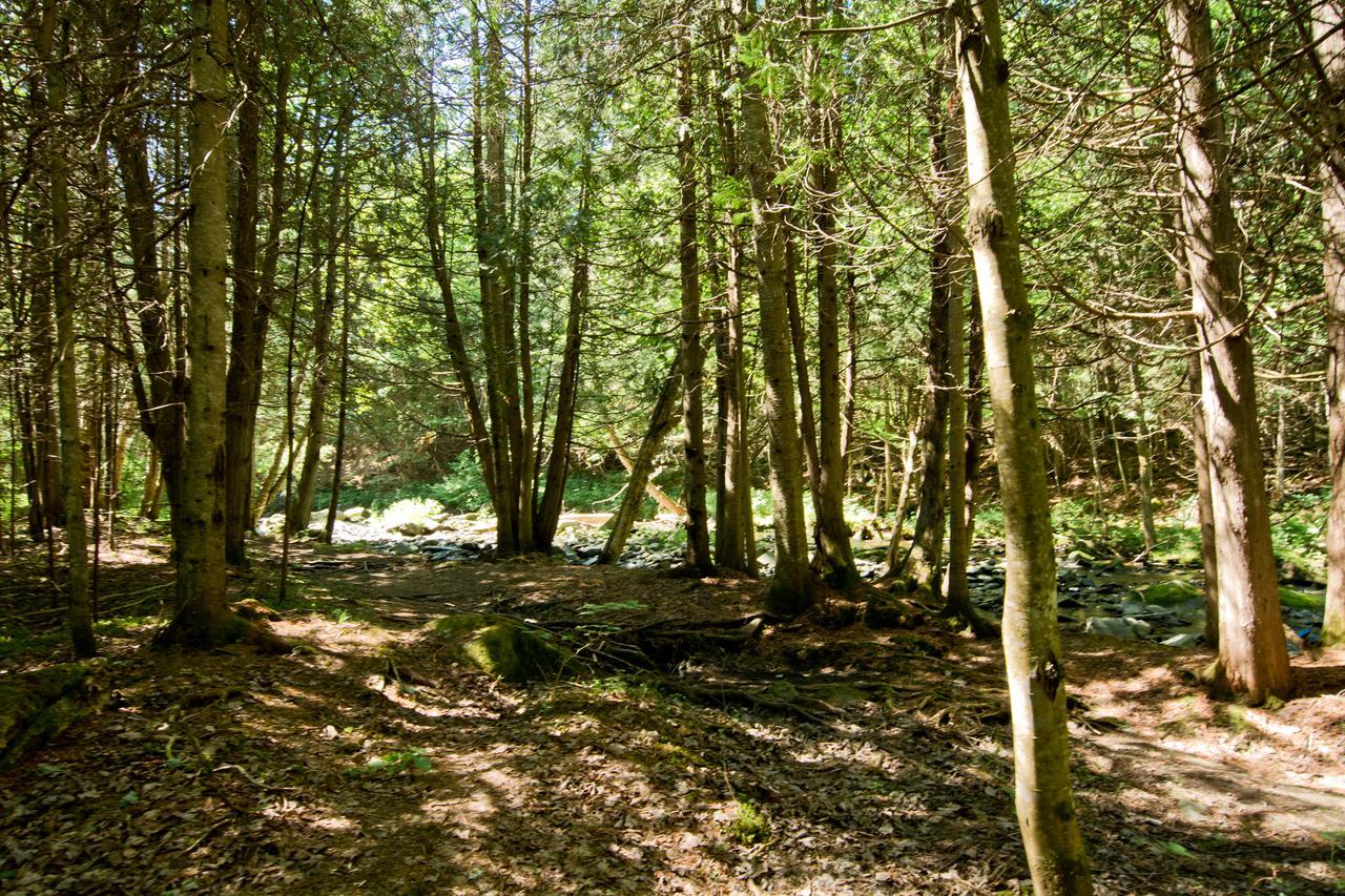 Camping Chalets Spas Pignons Rouges Saint Romain Екстериор снимка
