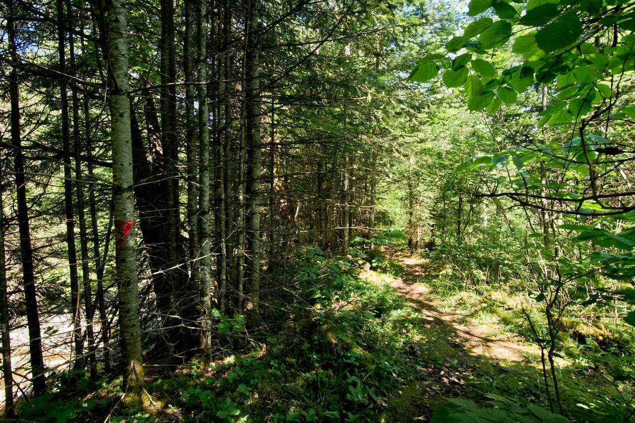 Camping Chalets Spas Pignons Rouges Saint Romain Екстериор снимка