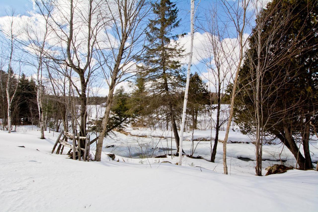 Camping Chalets Spas Pignons Rouges Saint Romain Екстериор снимка