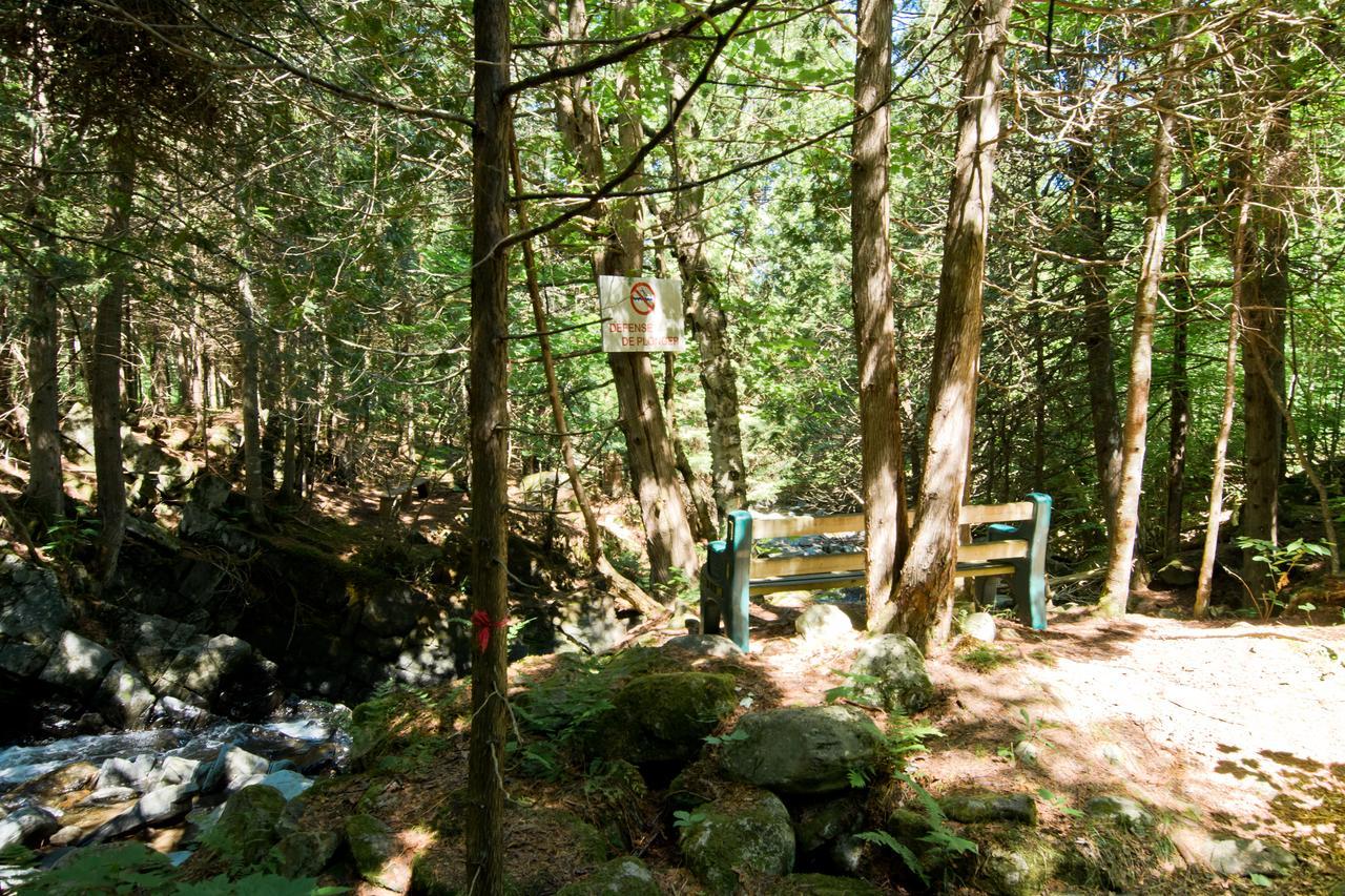 Camping Chalets Spas Pignons Rouges Saint Romain Екстериор снимка